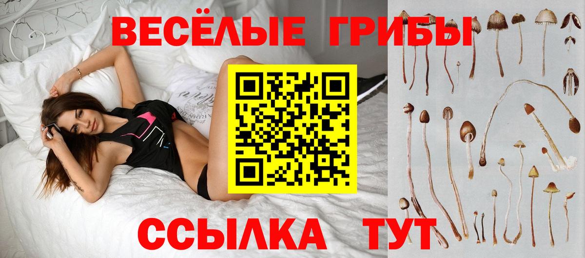 Галлюциногенные грибы ЛСД  хочу   Казань  Вход с VPN 