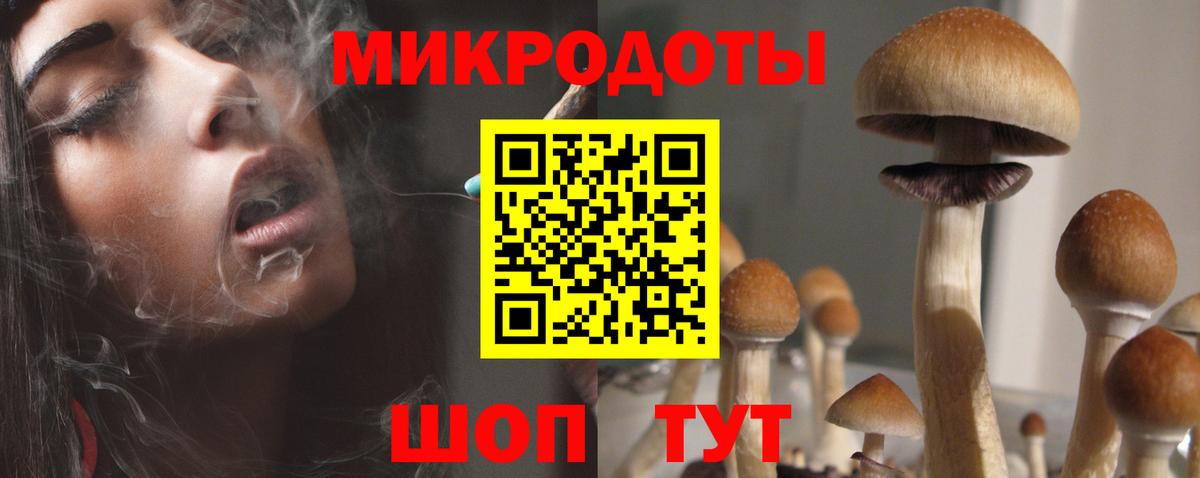 Галлюциногенные грибы мухоморы Казань
